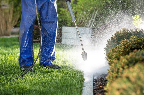 Cost of Curb Cleaning in Kernersville