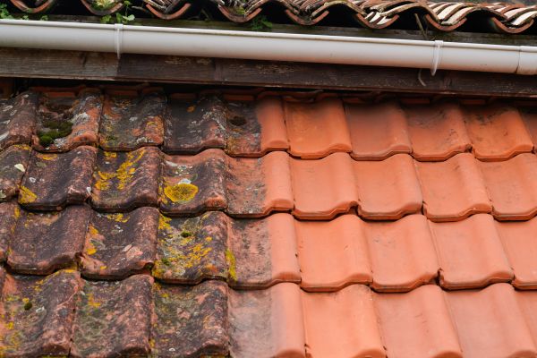 Industrial Roof Cleaning in Kernersville